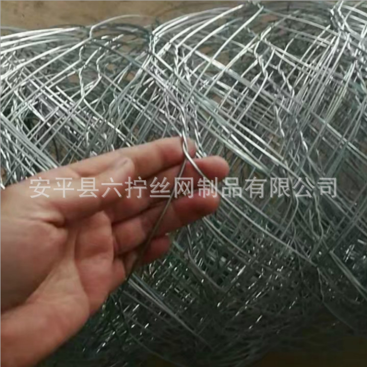 鐵絲網(wǎng)圖片/鐵絲網(wǎng)樣板圖 (1)