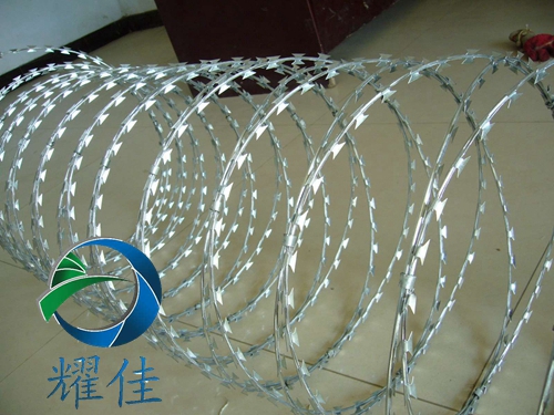 刺絲滾籠圖片/刺絲滾籠樣板圖 (2)