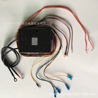 脈沖點火器圖片/脈沖點火器樣板圖 (2)