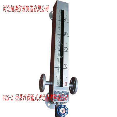 GZS-Z蒸汽保溫石英管液位計(jì)圖片