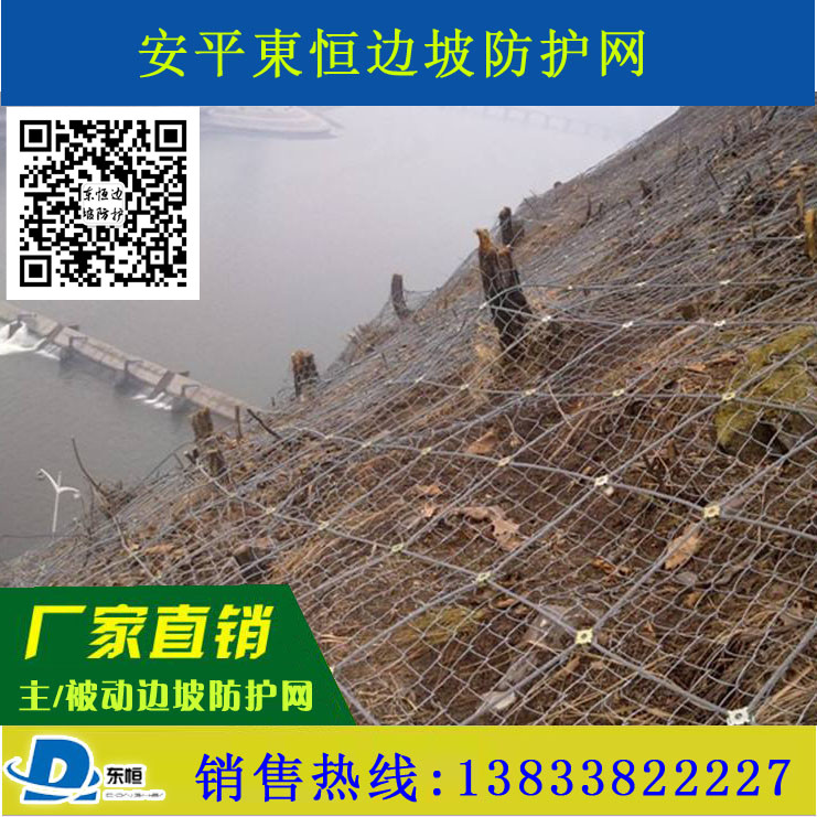 邊坡防護網(wǎng)圖片/邊坡防護網(wǎng)樣板圖 (4)