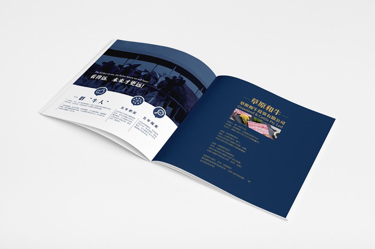 企業(yè)畫冊設(shè)計圖片/企業(yè)畫冊設(shè)計樣板圖 (4)