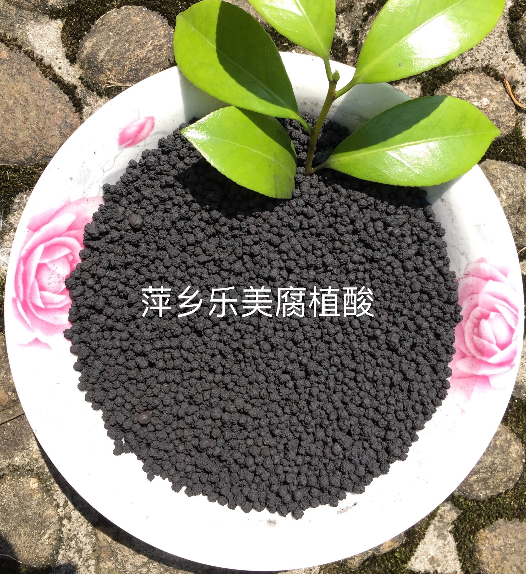 腐植酸鈉 水產(chǎn)養(yǎng)殖用 球形顆粒狀圖片