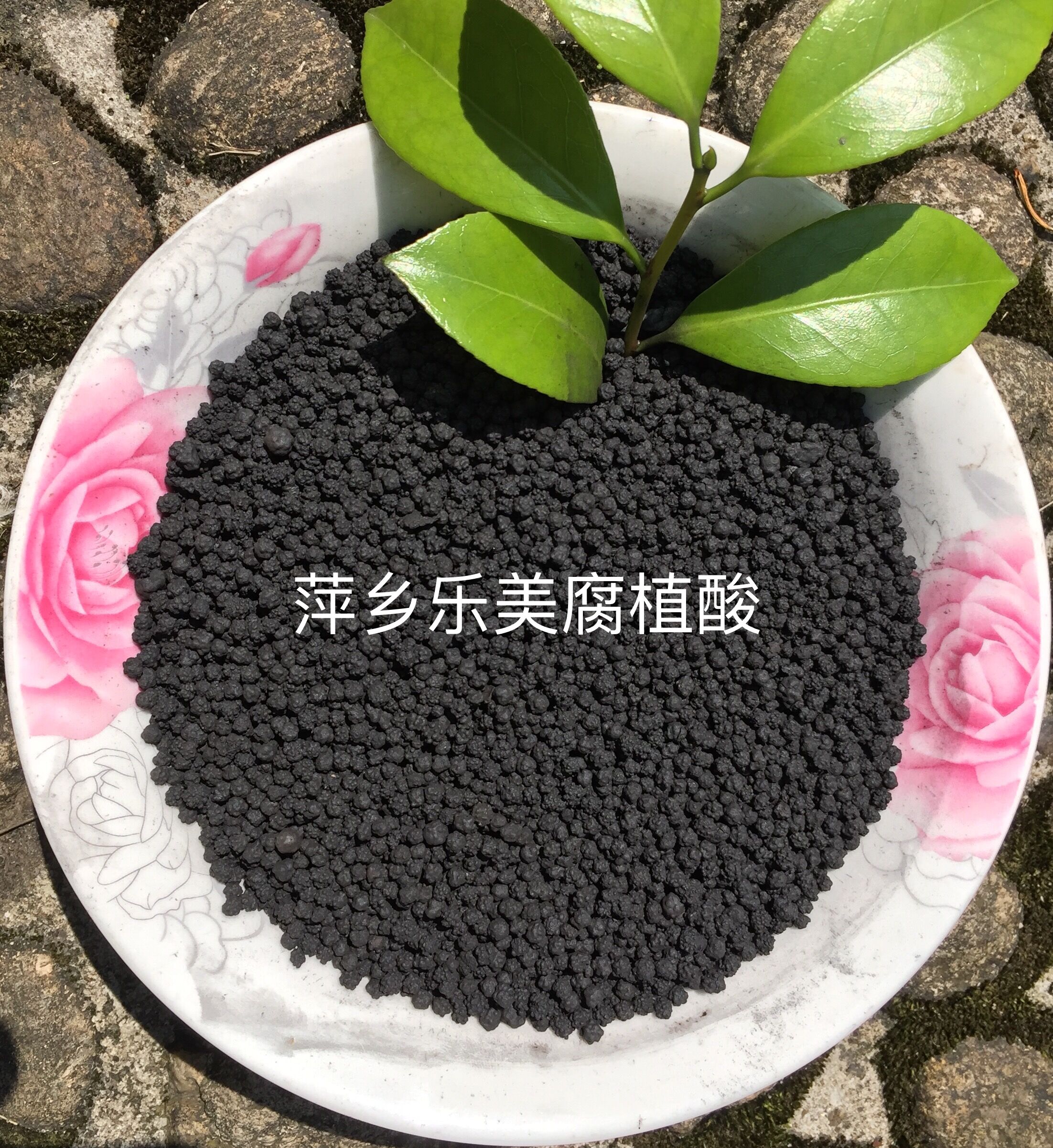 顆粒狀圖片/顆粒狀樣板圖 (3)