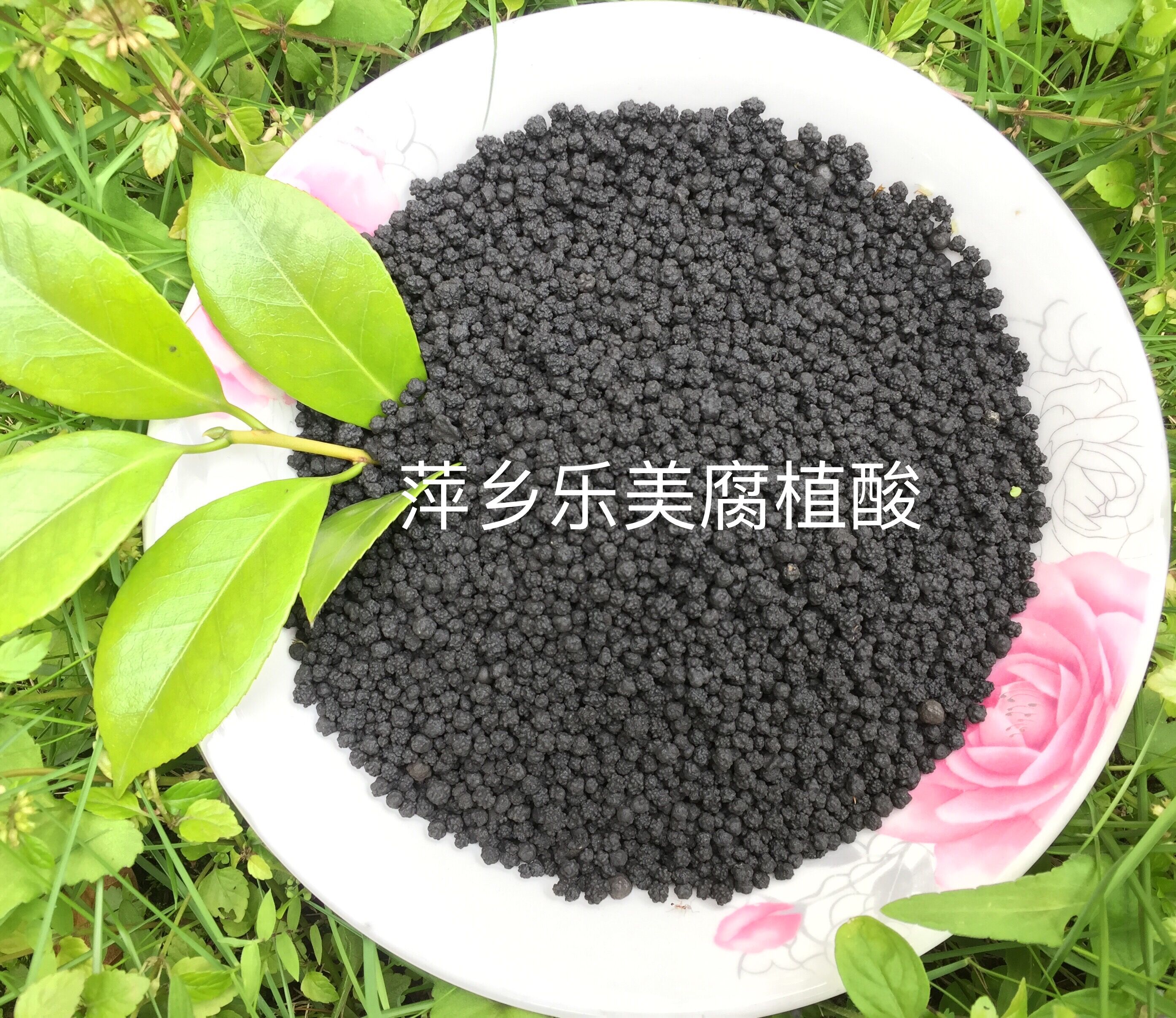 顆粒狀圖片/顆粒狀樣板圖 (2)