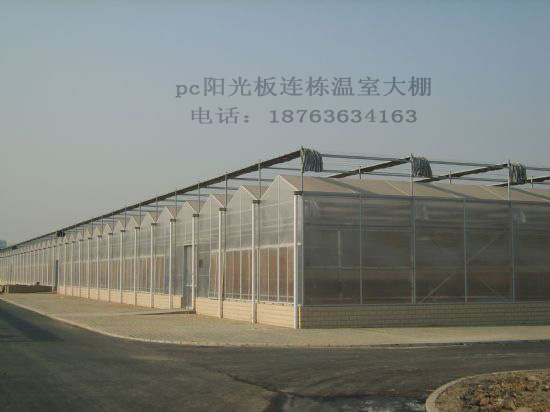 哈爾濱 恒溫智能溫室大棚育苗室圖片