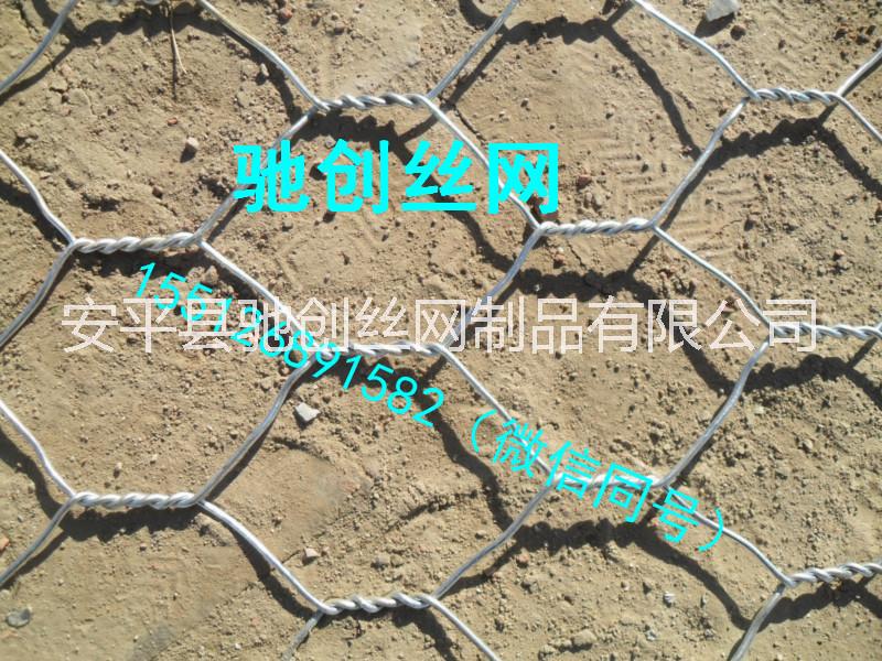 賓格網(wǎng)圖片/賓格網(wǎng)樣板圖 (3)