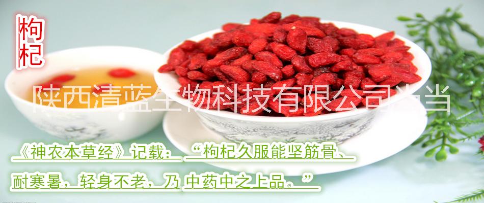 枸杞提取物圖片/枸杞提取物樣板圖 (2)
