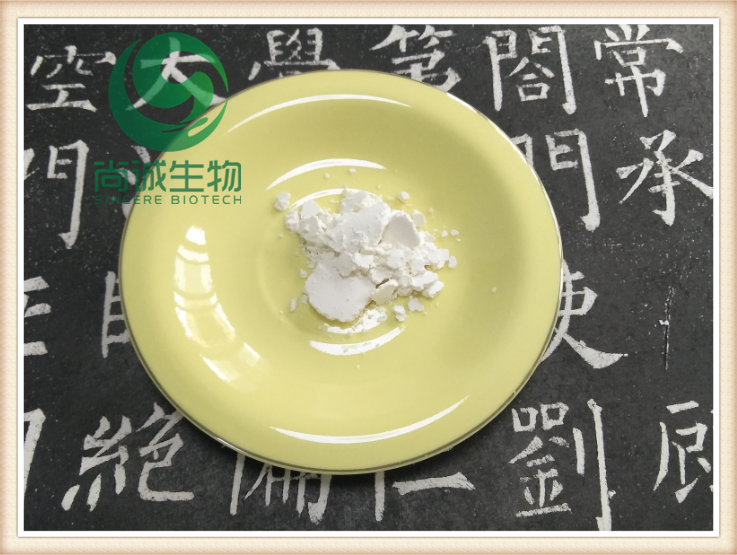 露水草圖片/露水草樣板圖 (3)