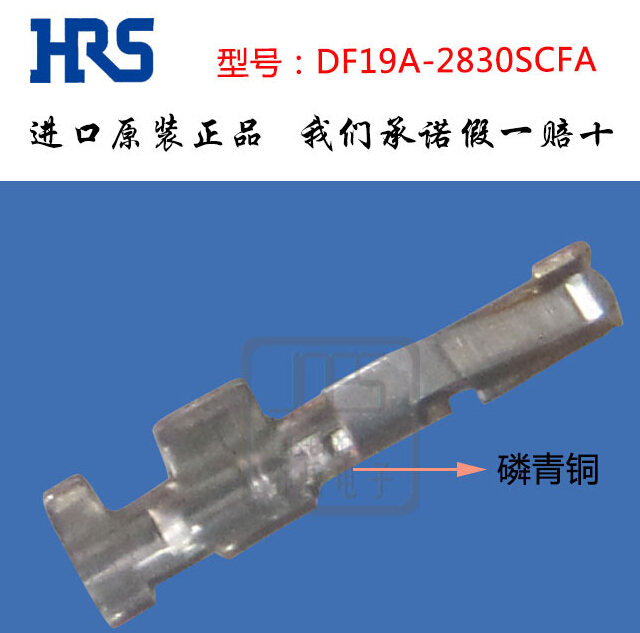 鍍金端子圖片/鍍金端子樣板圖 (2)