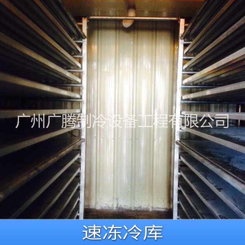 速凍冷庫圖片/速凍冷庫樣板圖 (4)