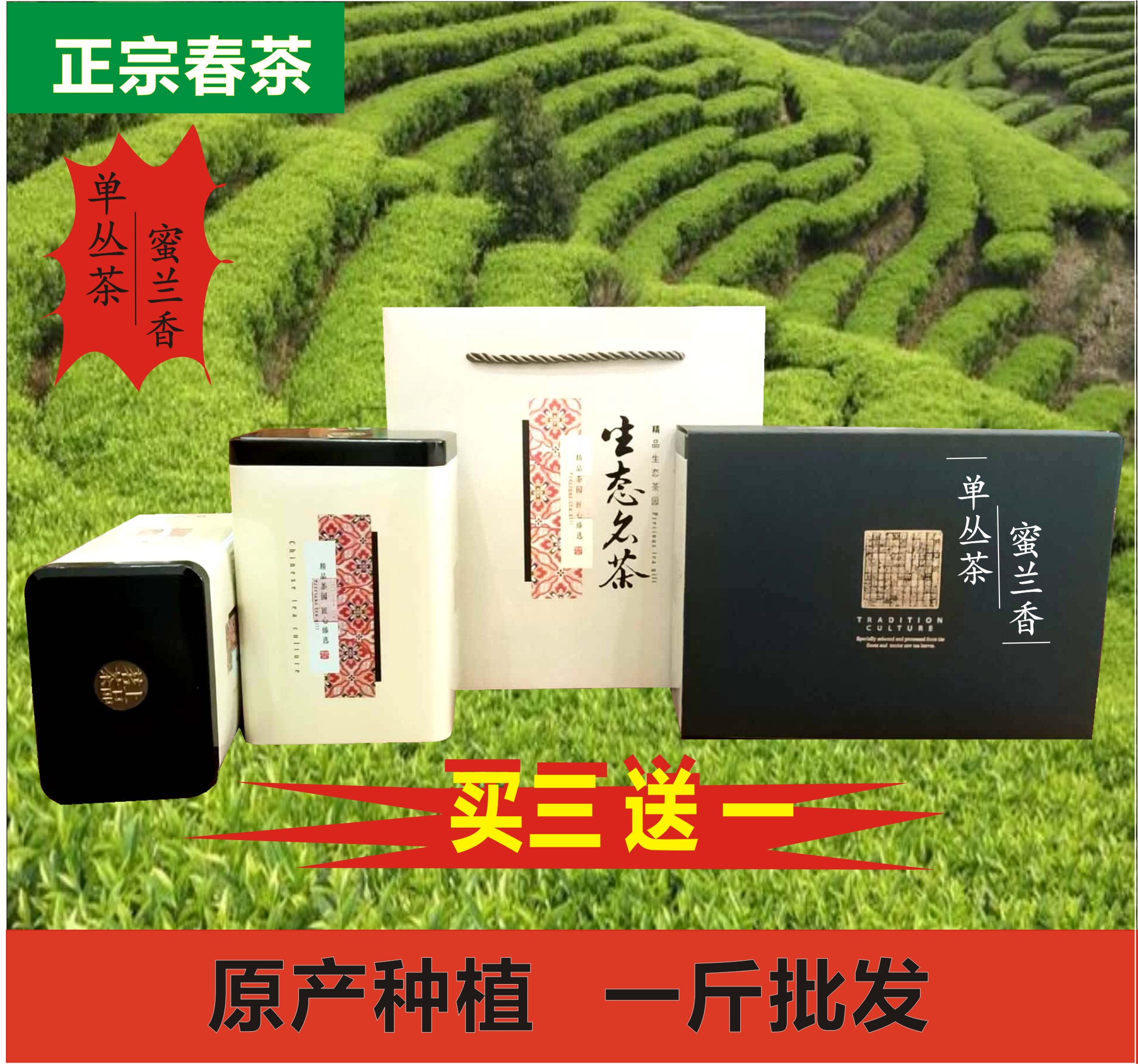 潮州凤凰单丛茶蜜兰香白叶单枞茶图片