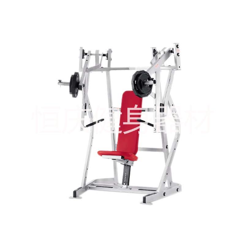 推胸及拉背雙動能訓練器圖片/推胸及拉背雙動能訓練器樣板圖 (4)