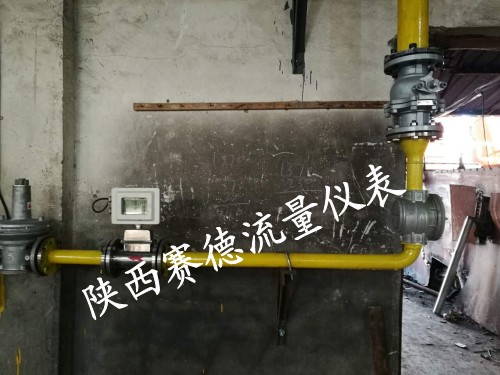 氣體渦輪流量計(jì)圖片