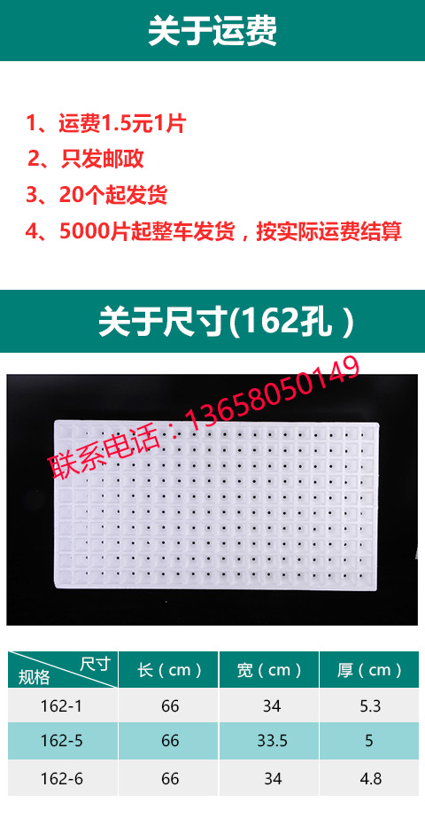 162孔高密度蔬菜專用泡沫漂浮育圖片/162孔高密度蔬菜專用泡沫漂浮育樣板圖 (3)