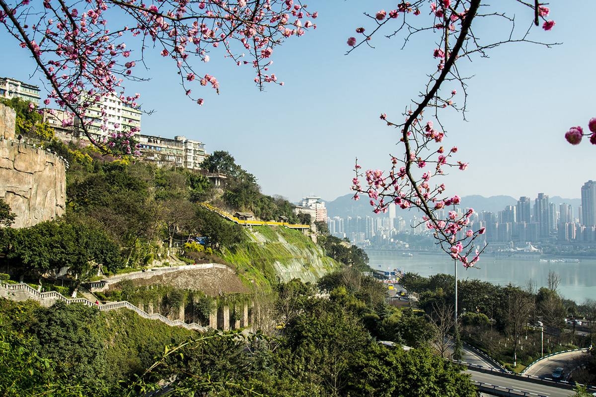 重慶一日游旅游指南 品味巴渝純玩一日游 重慶有哪些景點(diǎn) 重慶市內(nèi)內(nèi)一日游