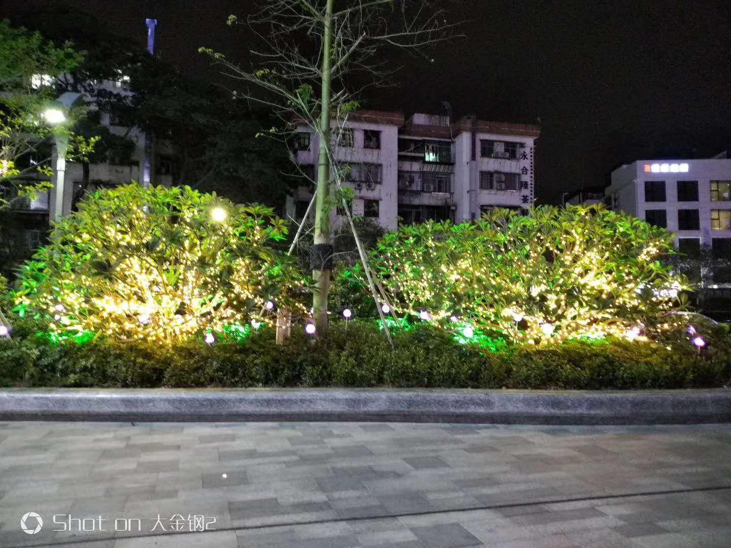 LED彩燈閃燈圖片/LED彩燈閃燈樣板圖 (2)