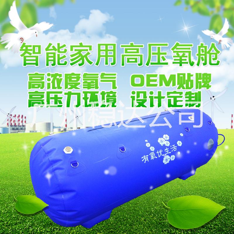 高壓氧倉-廠家直銷-可貼牌定制圖片/高壓氧倉-廠家直銷-可貼牌定制樣板圖 (4)