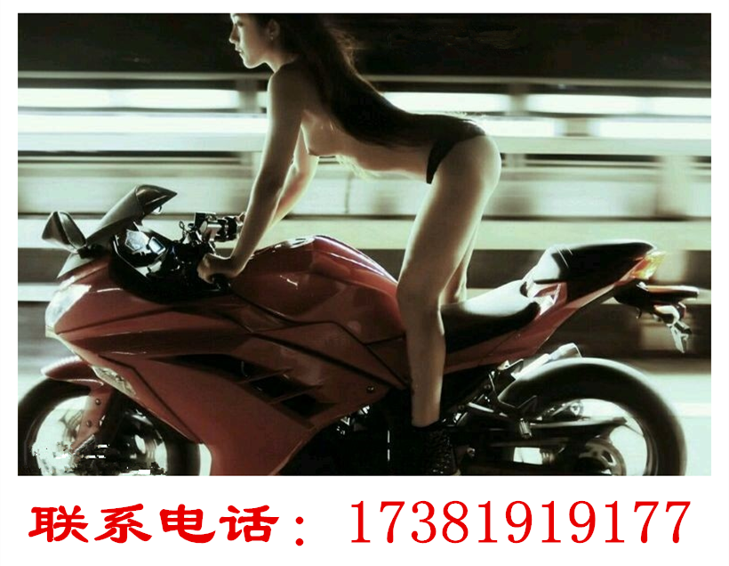 報(bào)廢汽車圖片/報(bào)廢汽車樣板圖 (4)
