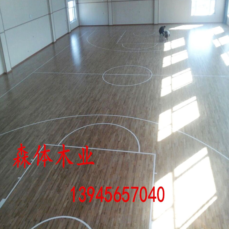 實木運動地板圖片/實木運動地板樣板圖 (2)