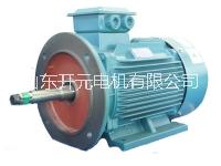 YSB管道泵用*電動機 YSB系列電動機  YSB系列電動機供應商