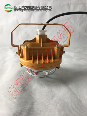 SW7152防爆LED泛光燈圖片