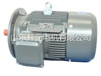 沖壓泵圖片/沖壓泵樣板圖 (3)