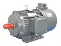 變頻調(diào)速電動機圖片/變頻調(diào)速電動機樣板圖 (3)