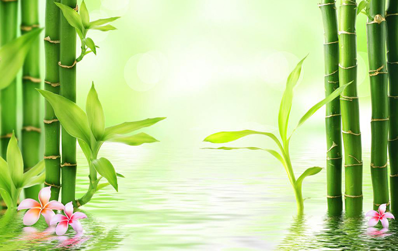 啞光乳膠漆圖片/啞光乳膠漆樣板圖 (2)