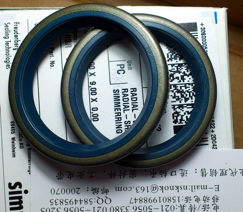 B1U型外鐵殼油封圖片