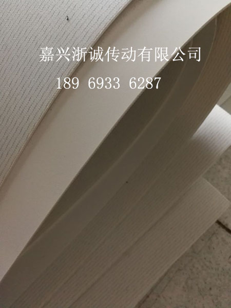 白色食品pvc輸送帶圖片/白色食品pvc輸送帶樣板圖 (4)