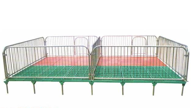 豬保育床圖片/豬保育床樣板圖 (1)