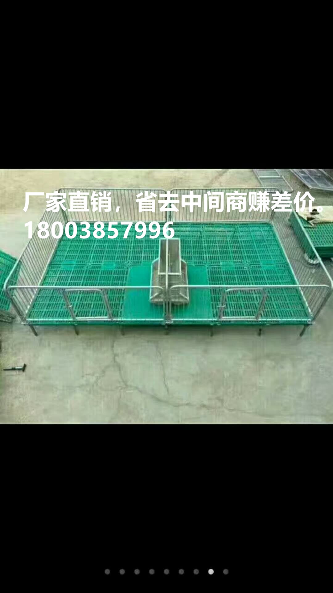豬保育床圖片/豬保育床樣板圖 (2)