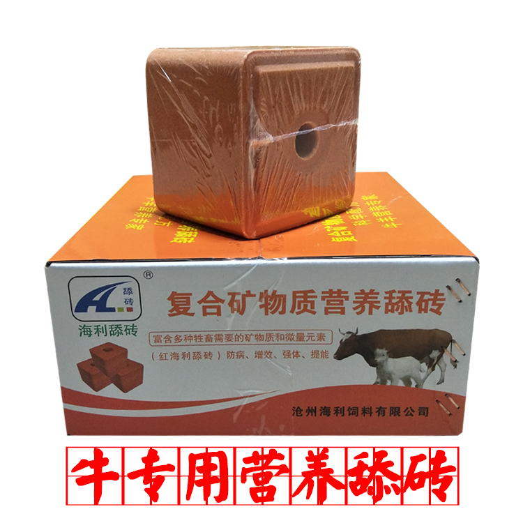 牛羊舔磚圖片/牛羊舔磚樣板圖 (1)