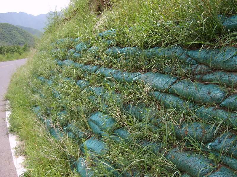 生态修复 边坡绿化 环境工程 植生袋 植生袋柔性护坡工程技术图片