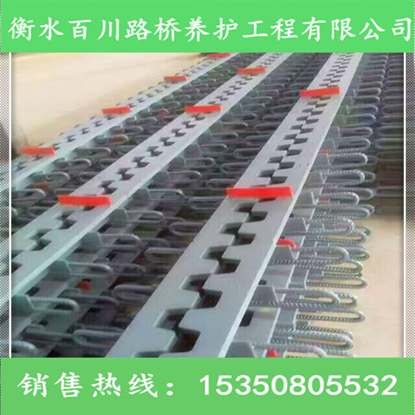 橋梁伸縮縫圖片/橋梁伸縮縫樣板圖 (2)