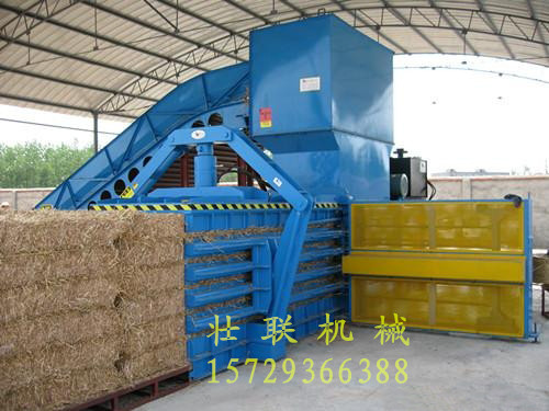 河南壯聯(lián)120型全自動打包機(jī)圖片