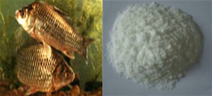 魚咬石頭誘食劑誘魚因子釣魚用引魚上鉤誘食劑