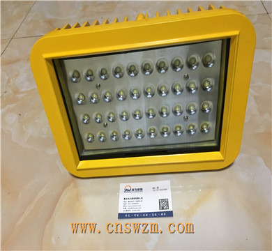 防爆免維護(hù)LED泛光燈圖片