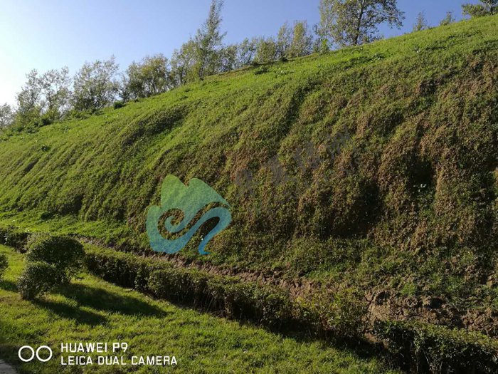 北京喷播绿化技术  地产开挖边坡飘台种植槽技术   联体植生垫  加筋土工网垫 加筋土工网垫坡面防护