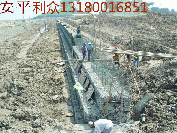 雷諾護(hù)墊圖片/雷諾護(hù)墊樣板圖 (3)