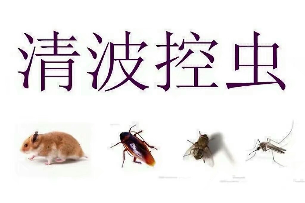 韶關(guān)滅鼠、韶關(guān)滅鼠公司、韶關(guān)滅鼠公司電話多少