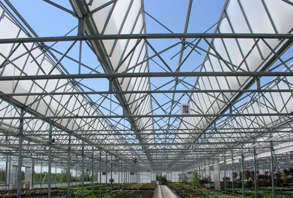 建設(shè)溫室大棚圖片/建設(shè)溫室大棚樣板圖 (3)
