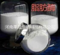 脂肪酶價格 脂肪酶生產(chǎn)廠家圖片