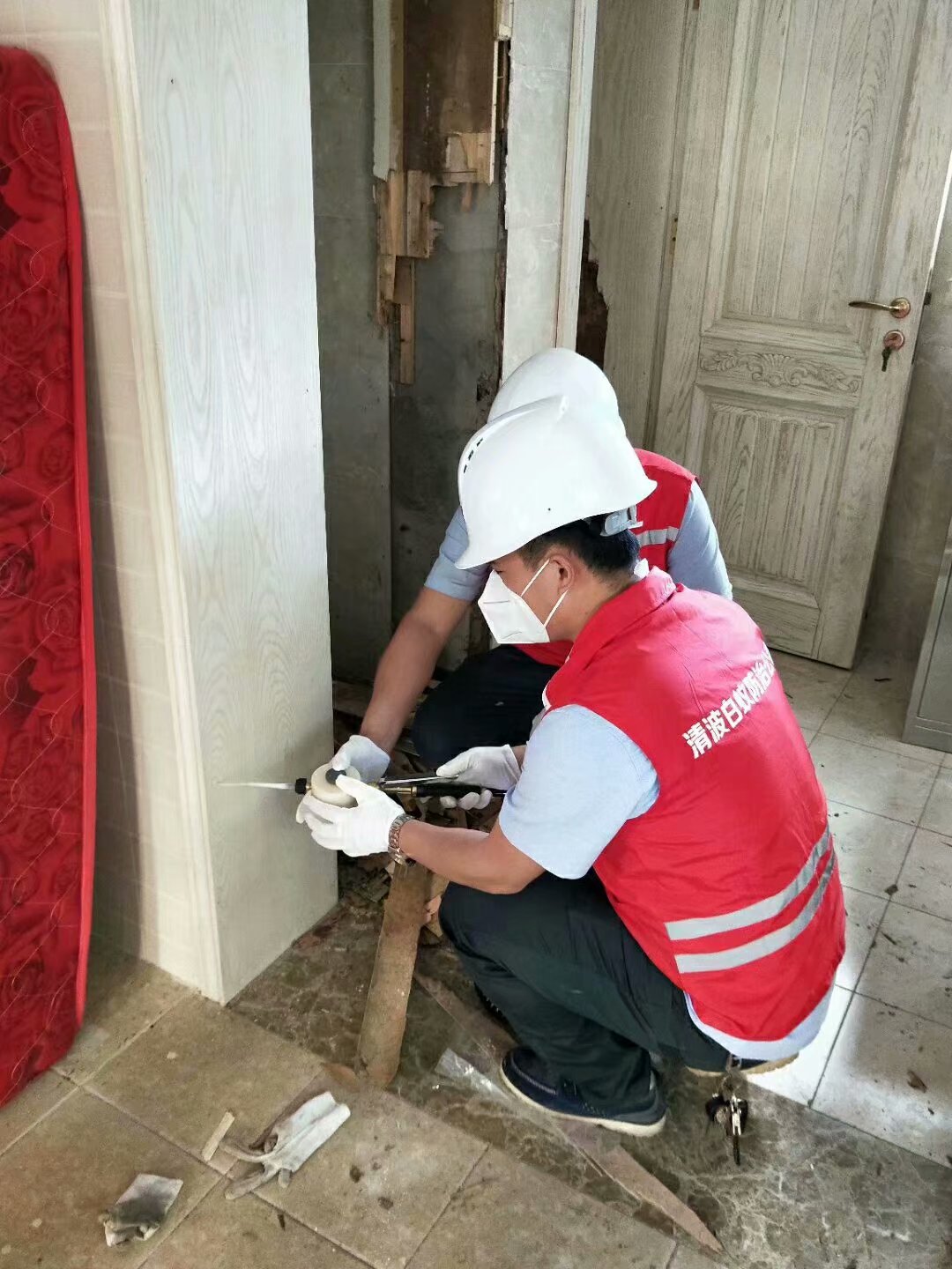 滅蟑螂公司圖片/滅蟑螂公司樣板圖 (4)