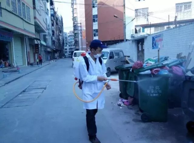 滅跳蚤圖片/滅跳蚤樣板圖 (2)