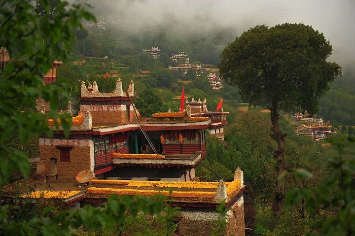 喀納斯—克拉瑪依      喀納斯—克拉瑪依旅游住宿   喀納斯—克拉瑪依旅游公司   喀納斯—克拉瑪依旅游專線