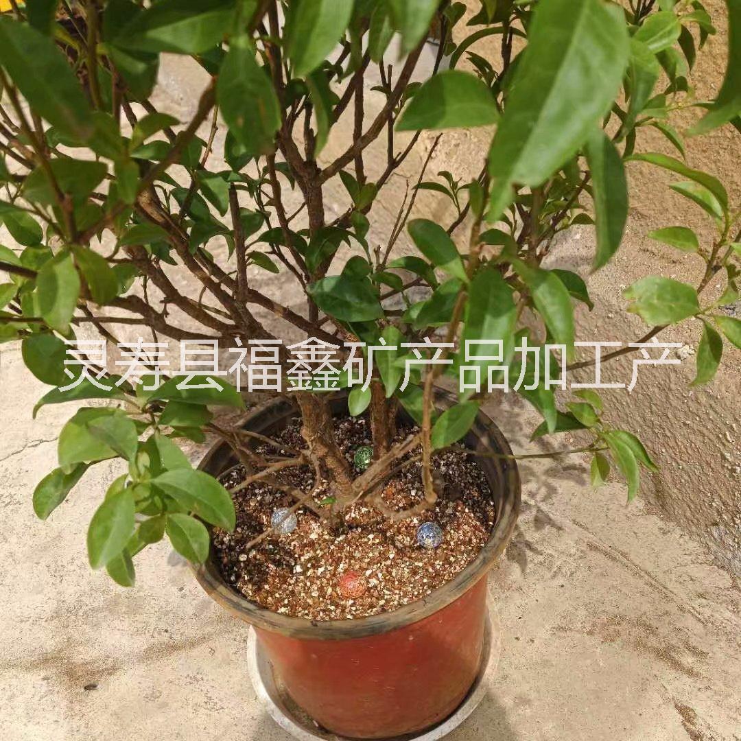 彩虹石圖片/彩虹石樣板圖 (3)