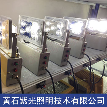 NFE9178應(yīng)急壁燈5W圖片/NFE9178應(yīng)急壁燈5W樣板圖 (3)