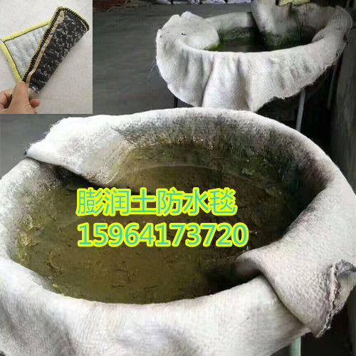 膨潤土防水毯圖片/膨潤土防水毯樣板圖 (3)